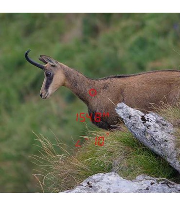 PRISMATICOS CON TELEMETRO GPO RANGEGUIDE 3200 10×40