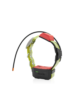 COLLAR IOCUS NOVA