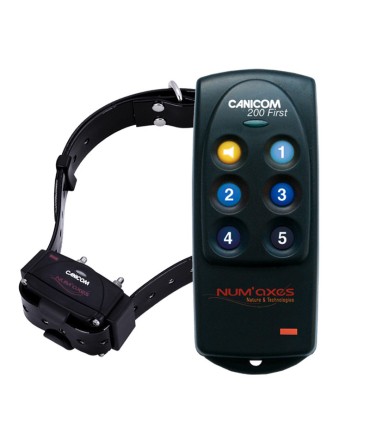 CANICOM 200 FIRST collar educativo