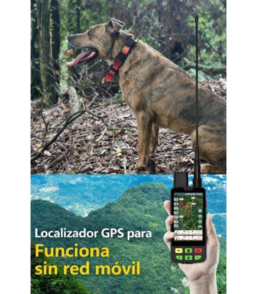 Collar GPS 4G para Perros de Caza eSEEK | VHF y App | Armería Tierraagua