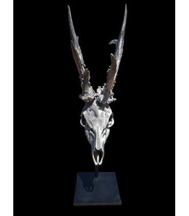 Escultura de Corzo Plata Decorativa con Peana Metálica | Decoración de Caza