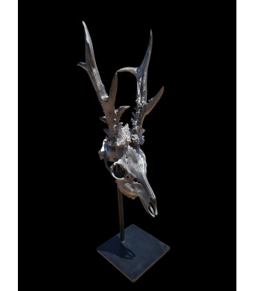 Escultura de Corzo Plata Decorativa con Peana Metálica | Decoración de Caza
