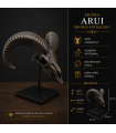 Escultura Arruí  Bronce  Envejecido con Peana Metálica