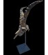 Escultura Macho Montés Bronce Envejecido | Decoración Cinegética | Armería Tierraagua