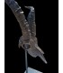 Escultura Macho Montés Bronce Envejecido | Decoración Cinegética | Armería Tierraagua