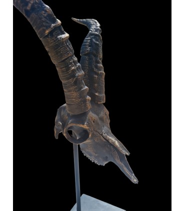 Escultura Macho Montés Bronce Envejecido | Decoración Cinegética | Armería Tierraagua