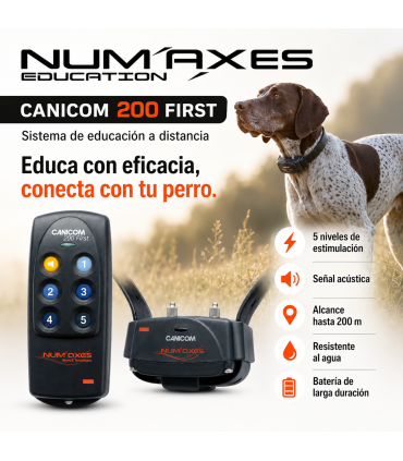 CANICOM 200 FIRST collar educativo