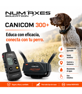 CANICOM 300 PLUS  collar educativo