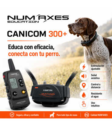 CANICOM 300 PLUS  collar educativo