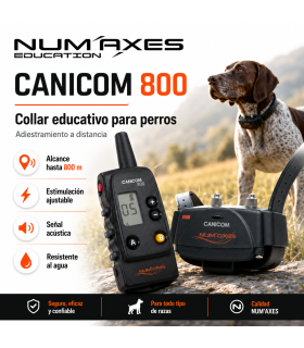 CANICOM 800 collar educativo