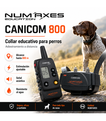 CANICOM 800 collar educativo